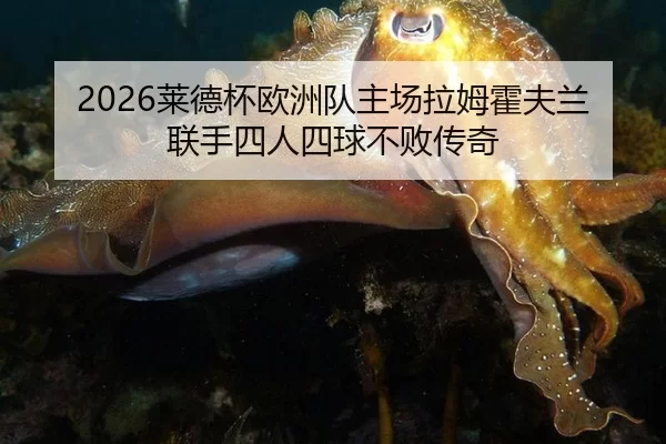 2026莱德杯欧洲队主场拉姆霍夫兰联手四人四球不败传奇